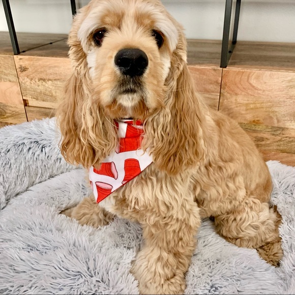 | “solo cup party” dog bandana | - Picture 2 of 11
